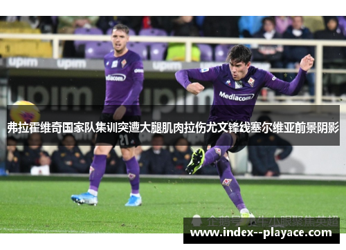 弗拉霍维奇国家队集训突遭大腿肌肉拉伤尤文锋线塞尔维亚前景阴影
