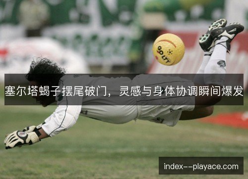 塞尔塔蝎子摆尾破门,灵感与身体协调瞬间爆发 塞尔塔蝎子摆尾破门,灵感与身体协调瞬间爆发